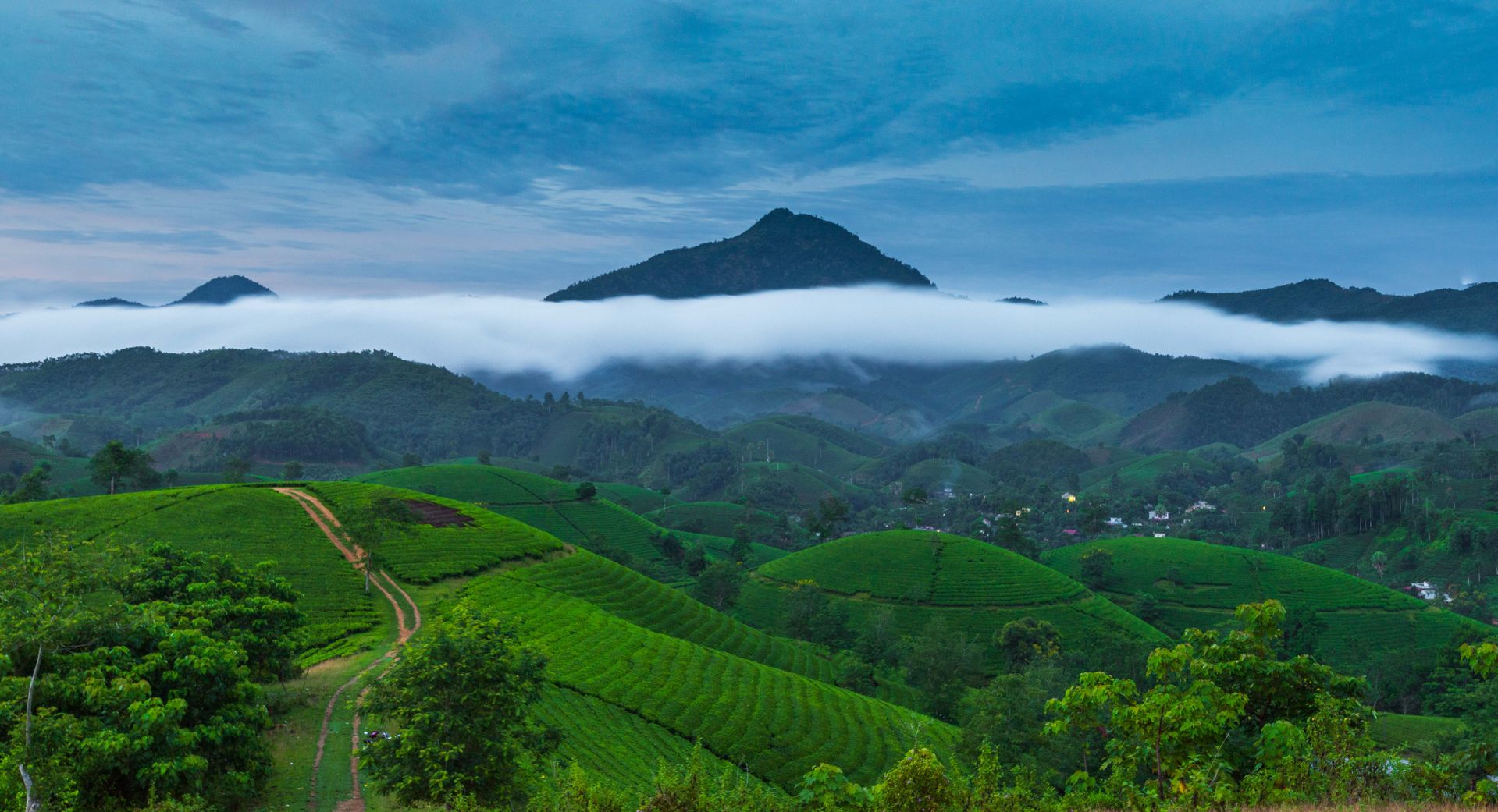 Kalpetta