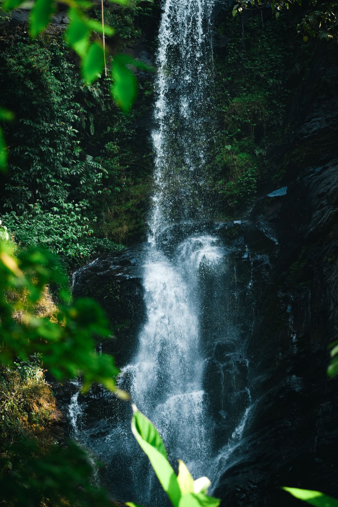 Meppadi