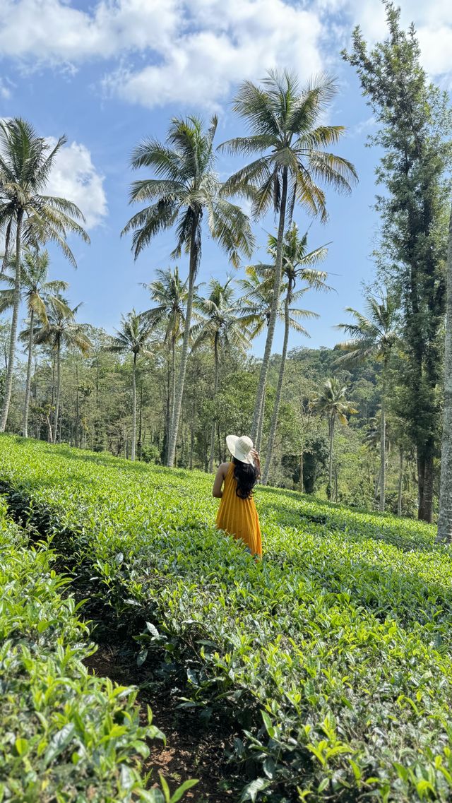 Vythiri
